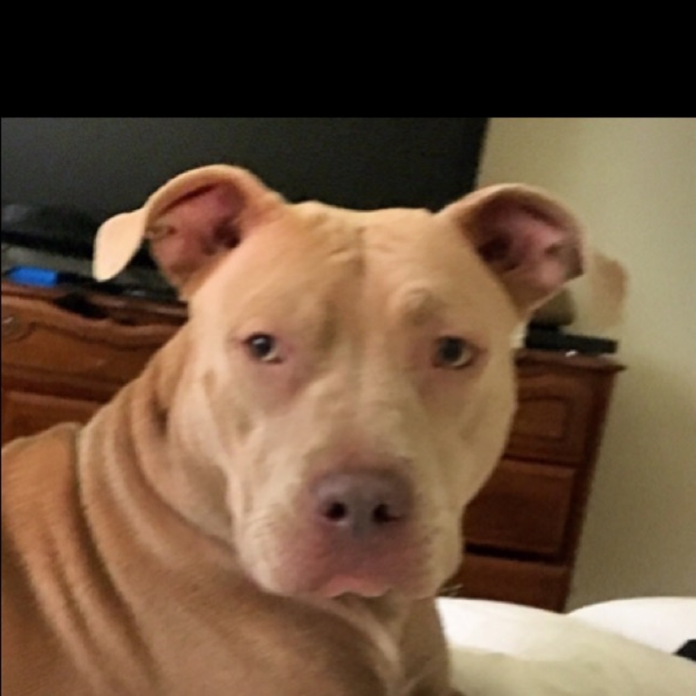 Meet your Posher, Tagen